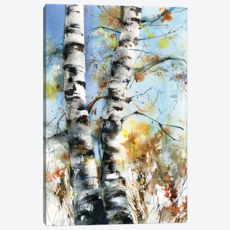 Birch Trees Canvas Print #SRV159} by Sophie Rodionov Art Print
