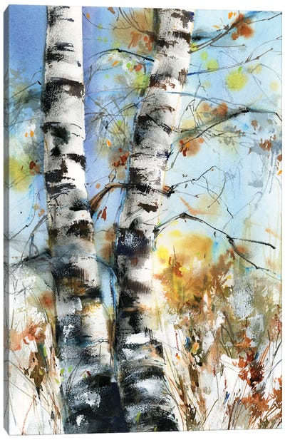 Birch Trees Canvas Art Print - Sophie Rodionov