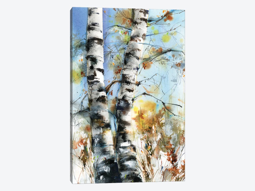 Birch Trees by Sophie Rodionov 1-piece Canvas Print