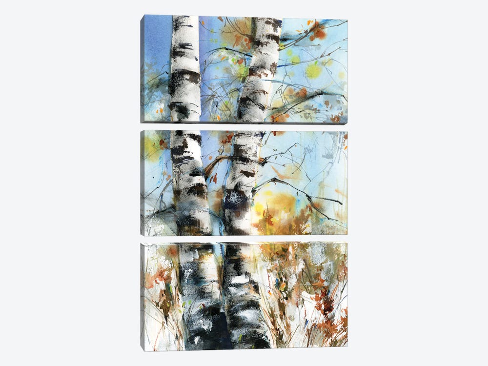 Birch Trees by Sophie Rodionov 3-piece Canvas Art Print
