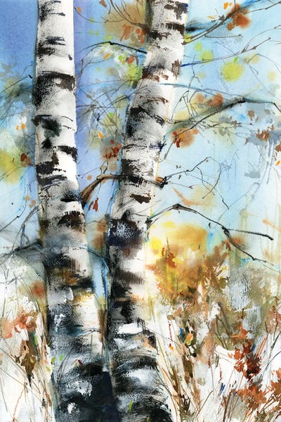 Birch Trees: Birch Trees by Sophie Rodionov