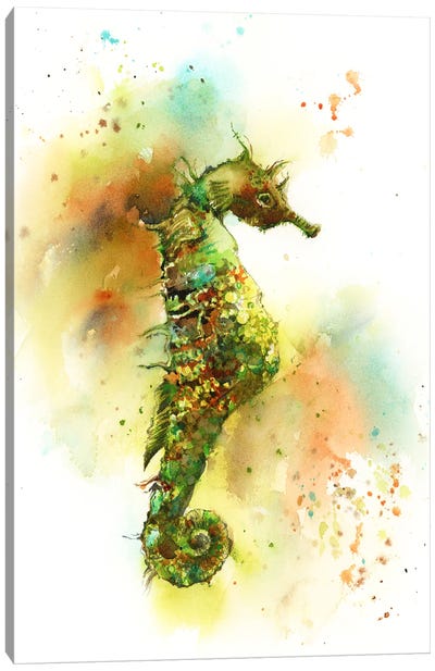 Seahorse Canvas Art Print - Sophie Rodionov