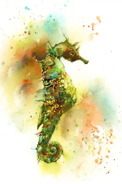 Seahorses: Seahorse by Sophie Rodionov