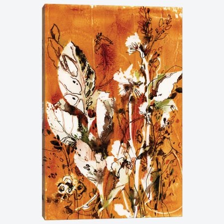 Herbs In Burnt Orange I Canvas Print #SRV161} by Sophie Rodionov Canvas Art