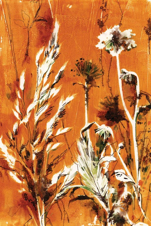 Herbs In Burnt Orange II by Sophie Rodionov wall art