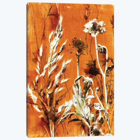 Herbs In Burnt Orange II Canvas Print #SRV162} by Sophie Rodionov Canvas Wall Art