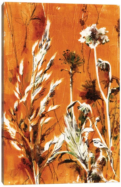 Herbs In Burnt Orange II Canvas Art Print - Herb Art