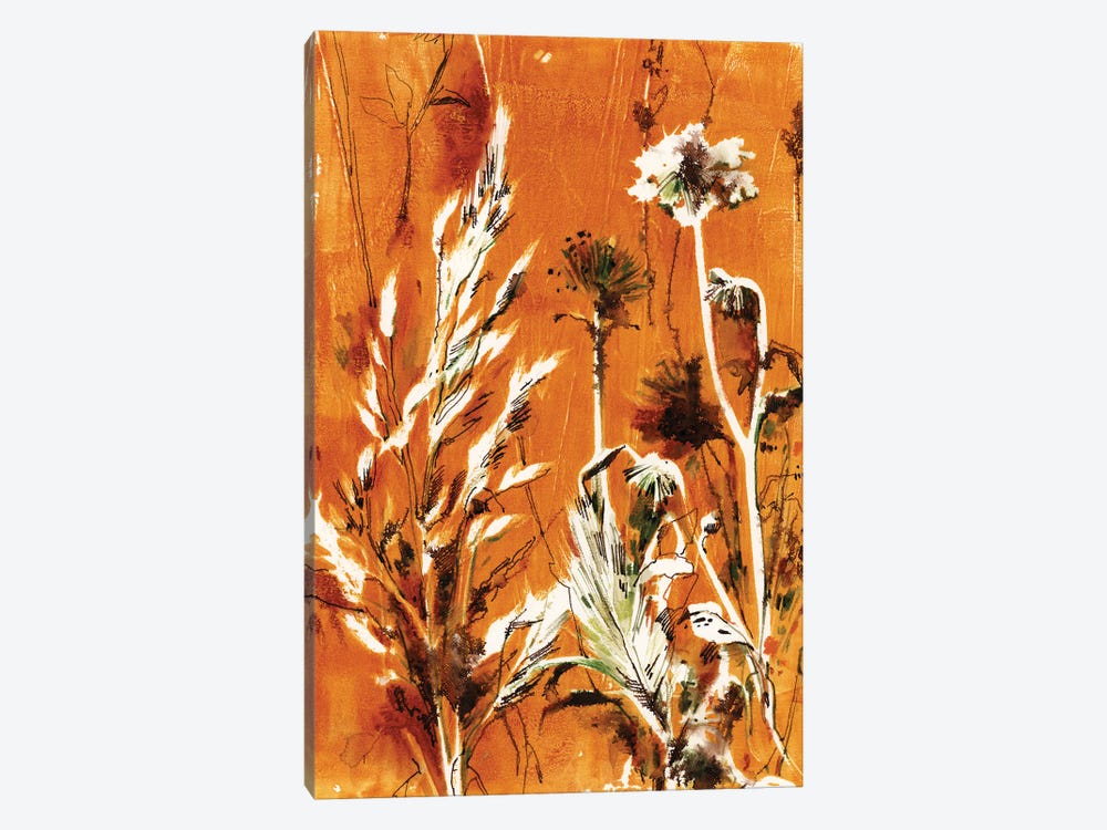Herbs In Burnt Orange II by Sophie Rodionov 1-piece Canvas Print