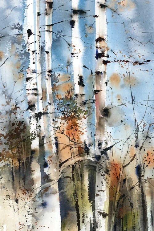 Birch Forest by Sophie Rodionov wall art