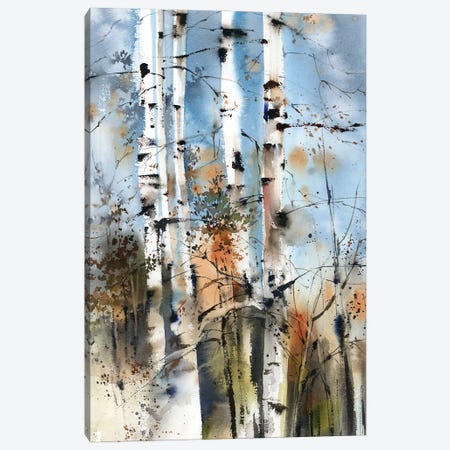 Birch Forest Canvas Print #SRV165} by Sophie Rodionov Art Print