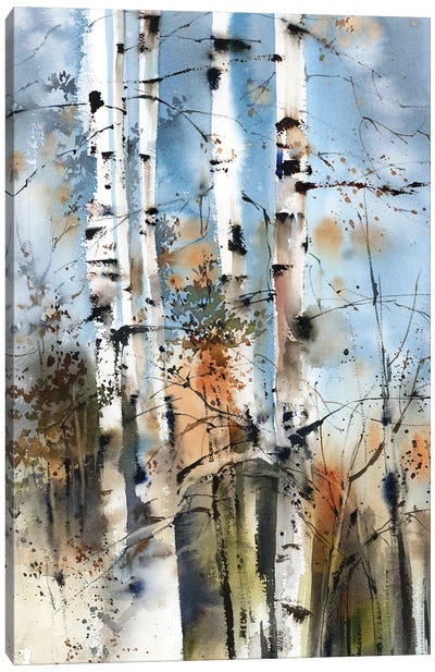 Birch Forest Canvas Art Print - Rustic Décor