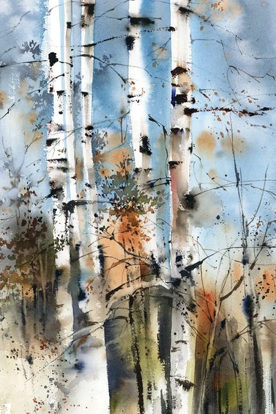 Cabin & Lodge Décor: Birch Forest by Sophie Rodionov