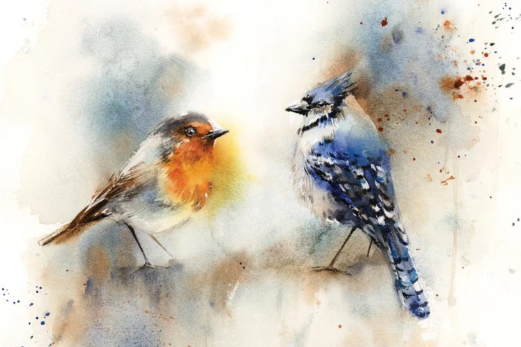 Robin And Blue Jay