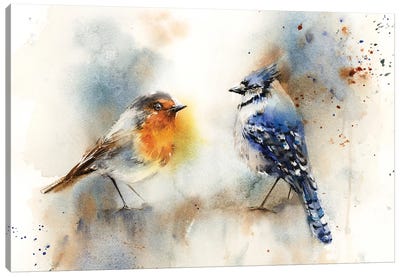 Robin And Blue Jay Canvas Art Print - Sophie Rodionov