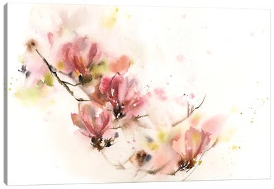 Magnolia Canvas Art Print - Sophie Rodionov
