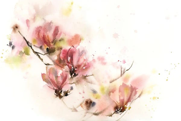 Magnolias: Magnolia by Sophie Rodionov