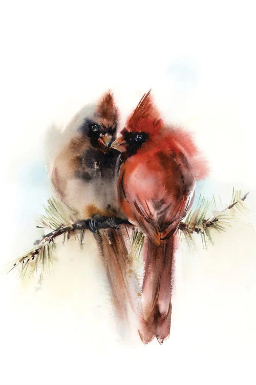 Northern Cardinals