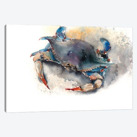 Blue Crab I Canvas Print #SRV16} by Sophie Rodionov Canvas Print