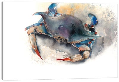 Blue Crab I Canvas Art Print - Contemporary Coastal