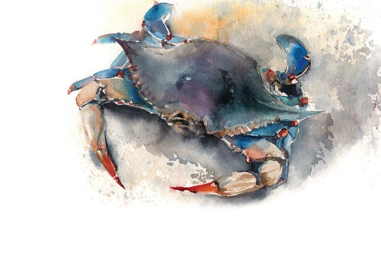 Blue Crab I