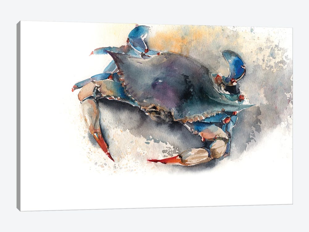 Blue Crab I by Sophie Rodionov 1-piece Canvas Art