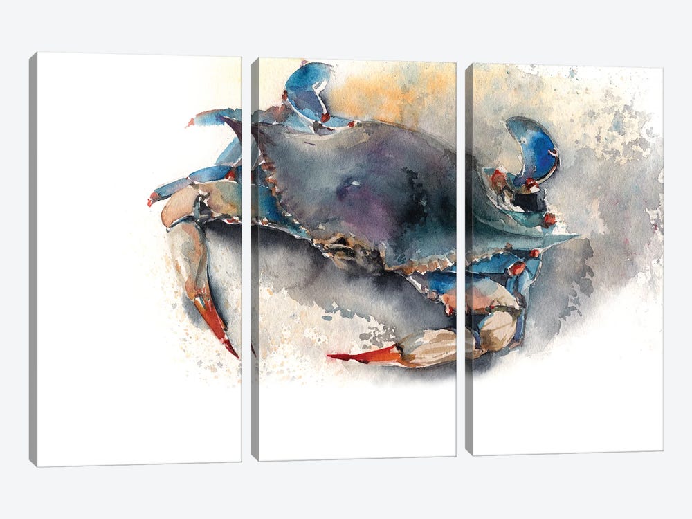 Blue Crab I by Sophie Rodionov 3-piece Canvas Art