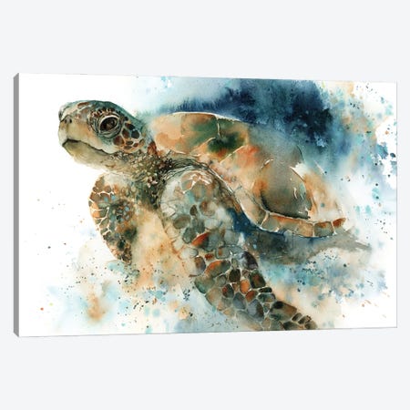Sea Turtel Canvas Print #SRV171} by Sophie Rodionov Art Print