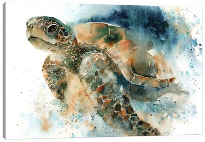 Sea Turtel Canvas Art Print - Reptile & Amphibian Art