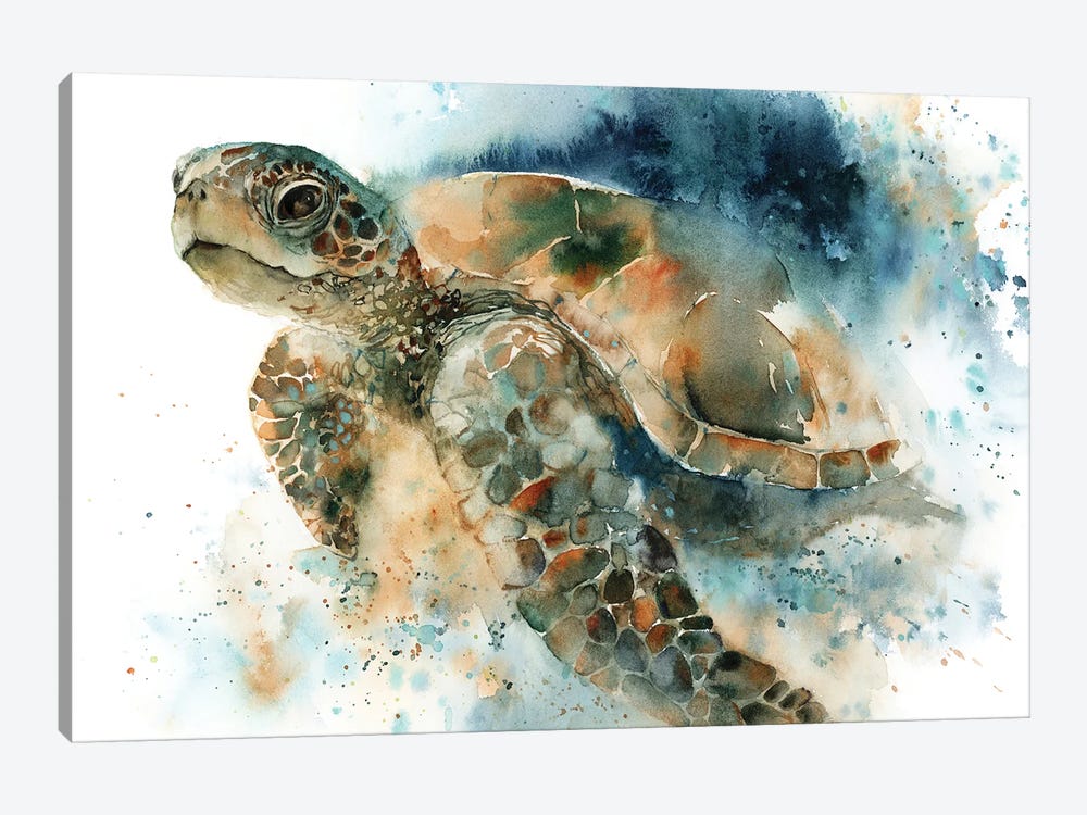 Sea Turtel by Sophie Rodionov 1-piece Canvas Art Print