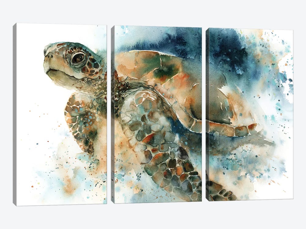 Sea Turtel by Sophie Rodionov 3-piece Canvas Art Print
