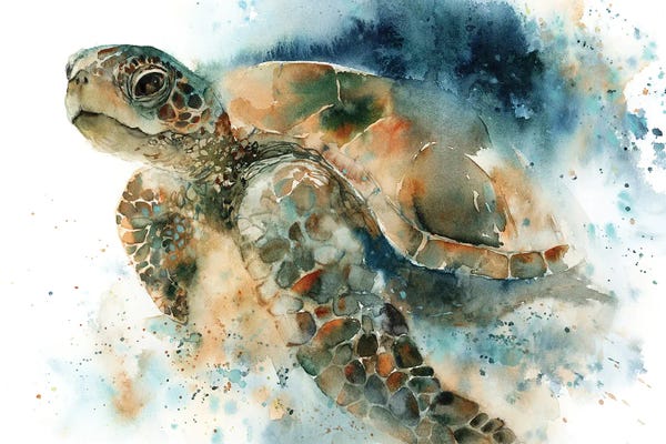 Reptiles & Amphibians: Sea Turtel by Sophie Rodionov