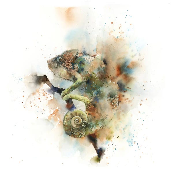 Chameleons: Chameleon by Sophie Rodionov