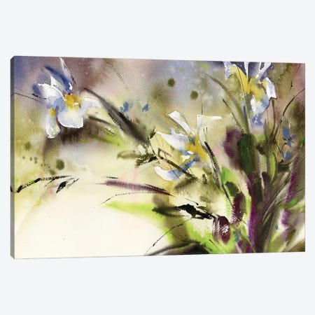 Irises Canvas Print #SRV173} by Sophie Rodionov Canvas Print