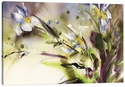 Irises Canvas Art Print - Sophie Rodionov