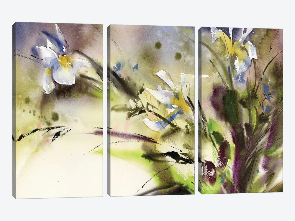 Irises by Sophie Rodionov 3-piece Canvas Art Print