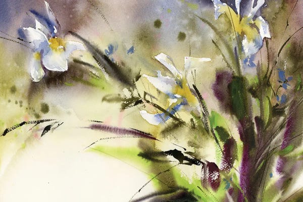 Irises: Irises by Sophie Rodionov