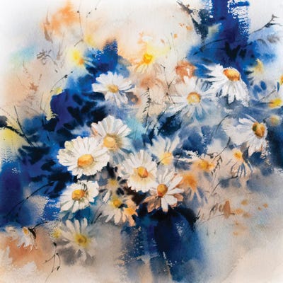 Daisies by Sophie Rodionov framed wall art