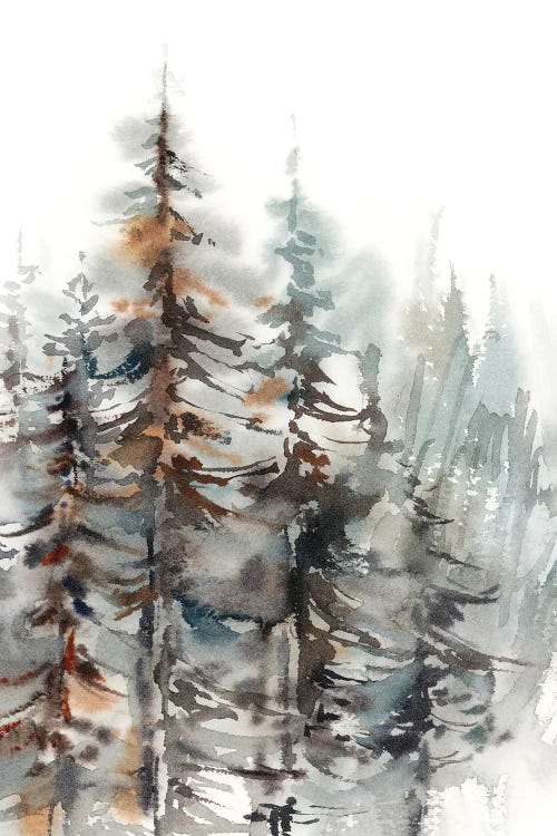 Pine Forest II