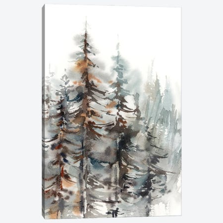 Pine Forest II Canvas Print #SRV178} by Sophie Rodionov Canvas Art Print