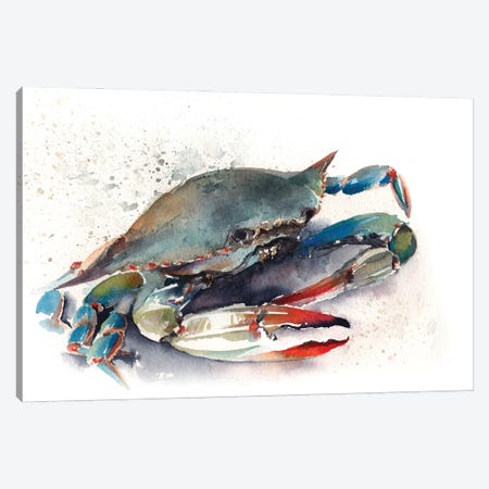 Blue Crab II Canvas Print #SRV17} by Sophie Rodionov Art Print