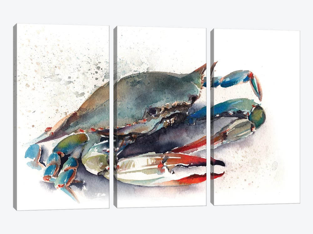Blue Crab II by Sophie Rodionov 3-piece Canvas Print