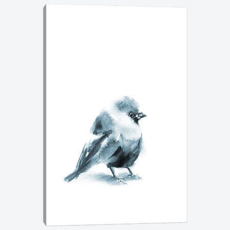 Grey Bird I Canvas Print #SRV184} by Sophie Rodionov Canvas Print