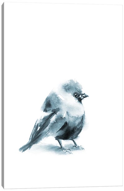 Grey Bird I Canvas Art Print - Sophie Rodionov