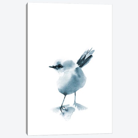 Grey Bird II Canvas Print #SRV185} by Sophie Rodionov Canvas Art Print
