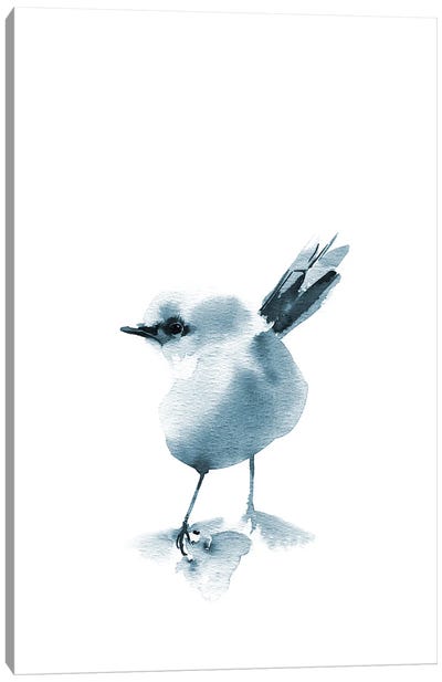 Grey Bird II Canvas Art Print - Sophie Rodionov