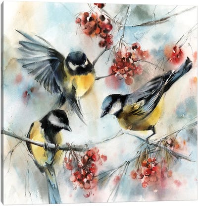 Birds Canvas Art Print - Sophie Rodionov