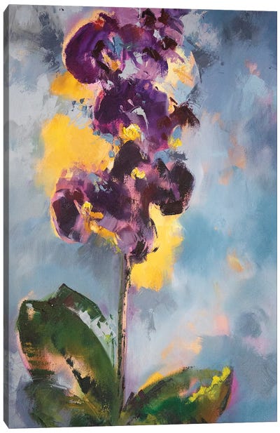 Orchids Canvas Art Print - Sophie Rodionov