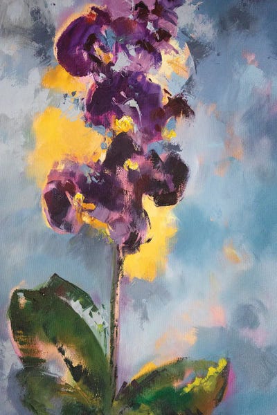Orchids: Orchids by Sophie Rodionov