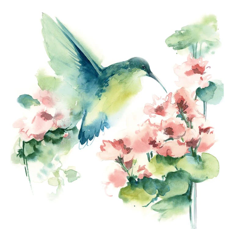 Hummingbird And Pink Flowers