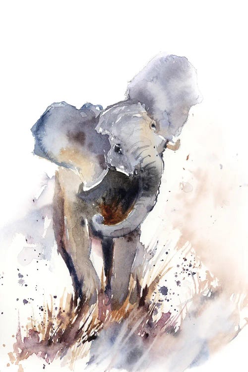 Elephant by Sophie Rodionov wall art